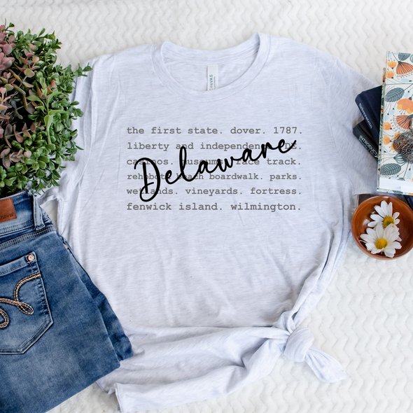 Delaware Typography Graphic Tee and Sweatshirt