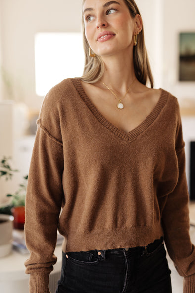 Back To Life V-Neck Sweater in Mocha