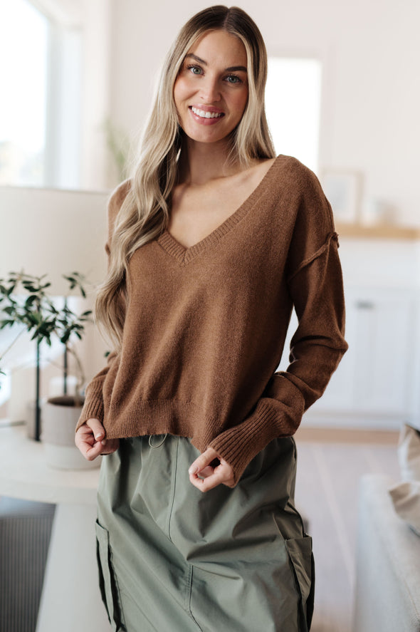 Back To Life V-Neck Sweater in Mocha