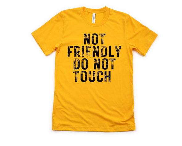 Not Friendly Graphic Tee