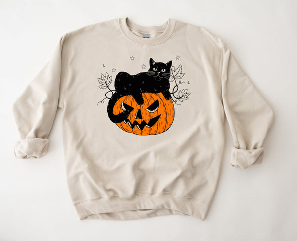 Pumpkin Cat Graphic Tee and Sweatshirt